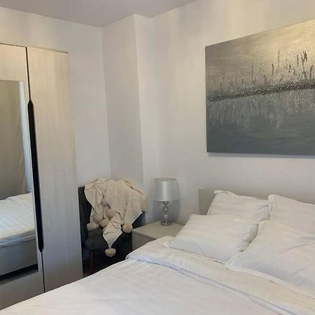 Cool Apartment 蒂米什瓦拉 外观 照片
