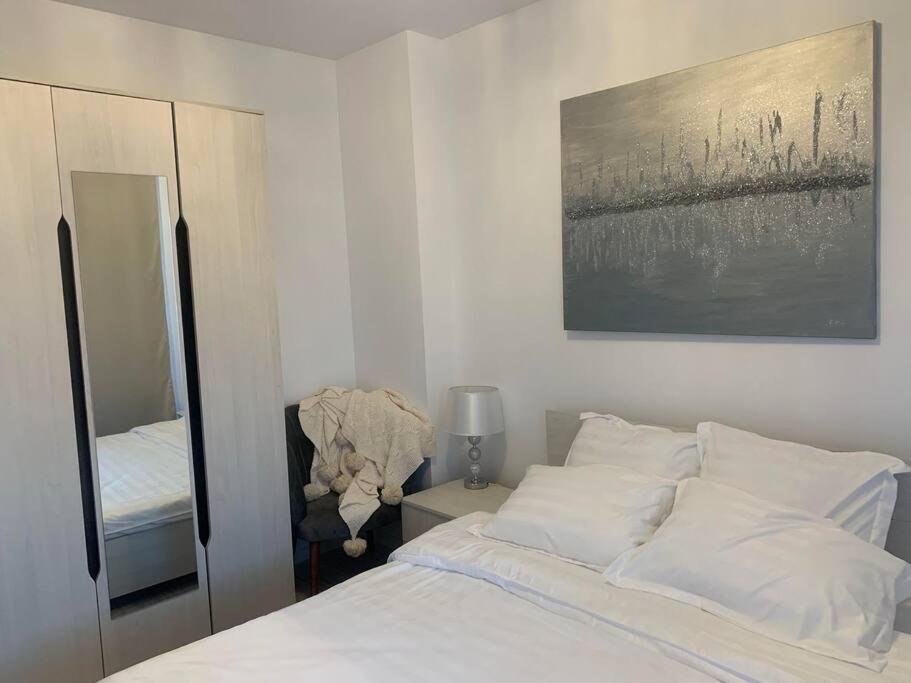 Cool Apartment 蒂米什瓦拉 外观 照片