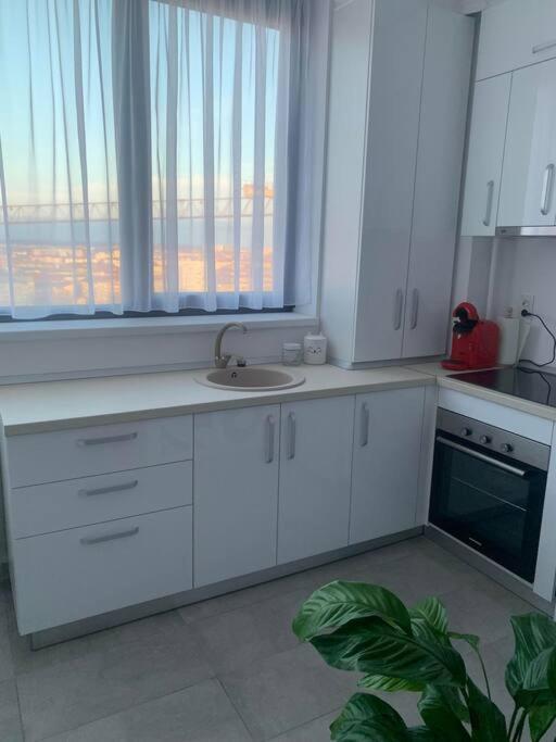 Cool Apartment 蒂米什瓦拉 外观 照片