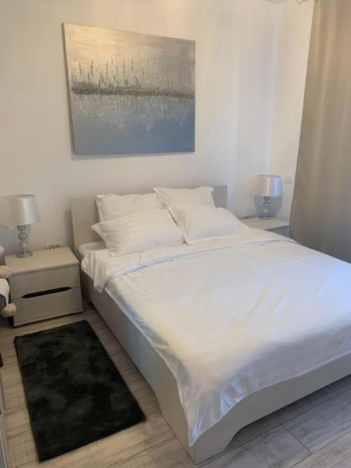 Cool Apartment 蒂米什瓦拉 外观 照片